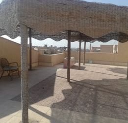 استوديو بالرووف نرجس فيلات