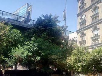 بيت للبيع بالمعادي