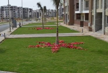 شقه لقطه في دار مصر