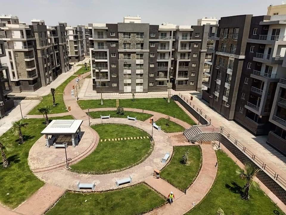 شقه دار مصر القرنفل 140 متر