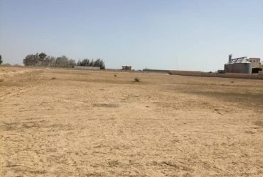 الاسكندريه الصحرواى كود ٦٨٠