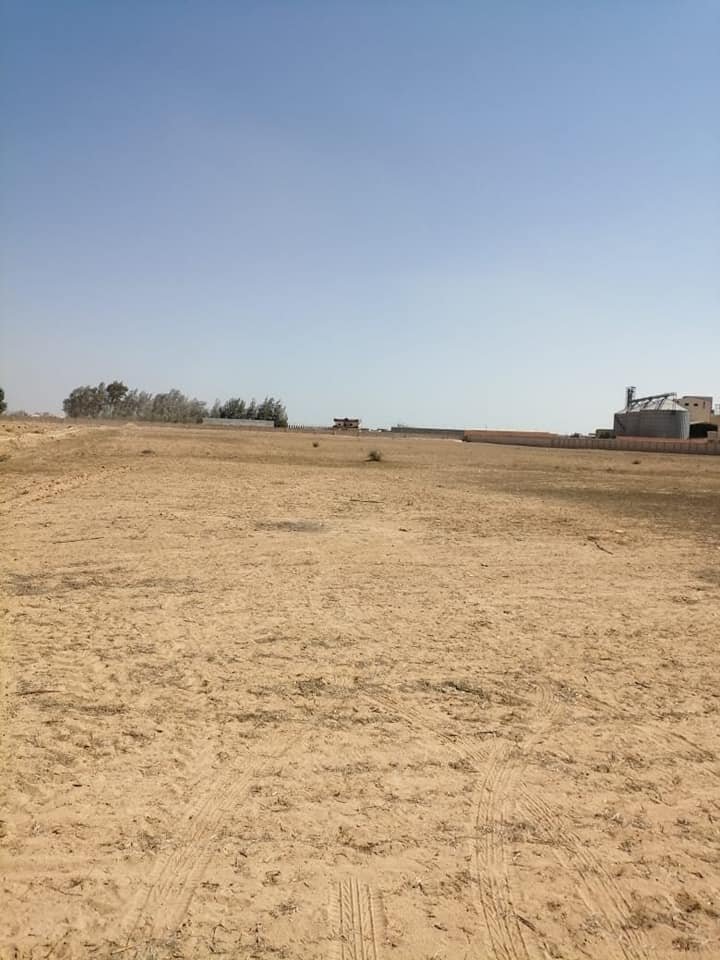 الاسكندريه الصحرواى كود ٦٨٠