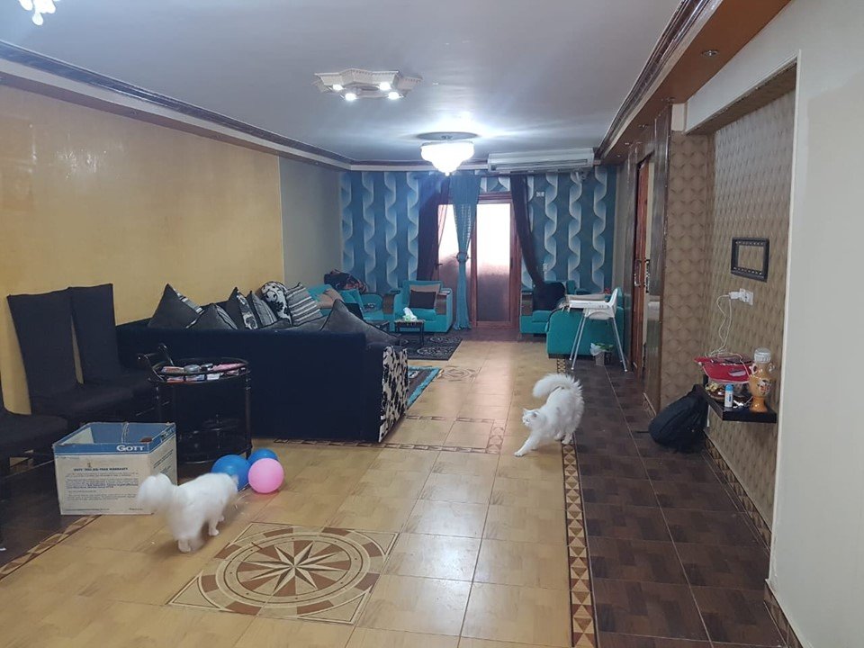 لسرعه البيع نزلنا سعرها 20 الف للبيع بزهراء مدينه نصر شقه سوبر لوكس