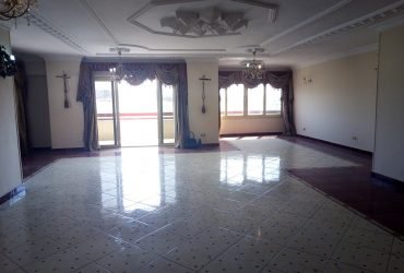 من المالك شقه ٣٠٠ متر للايجار