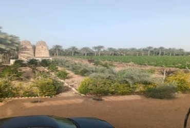 # مزرعه للبيع  # بمدينة العاشر من رمضان