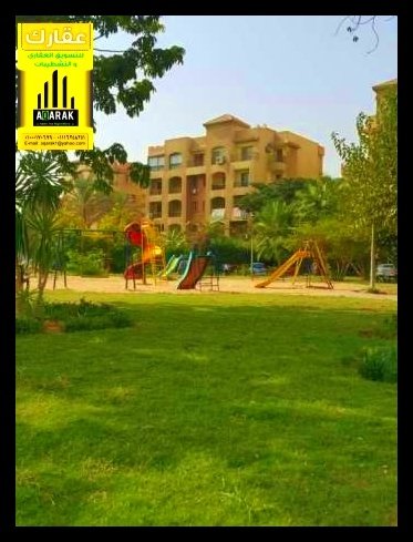 مطلوب شقق ف كمبوند حي الاشجار و دريم لاند و اشجار سيتي