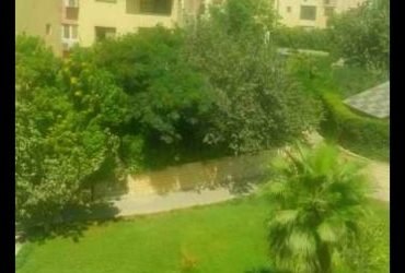 شقه ١٦٠ م ب حي الاشجار بأكتوبر تشطيب الشركة بالدور الاول