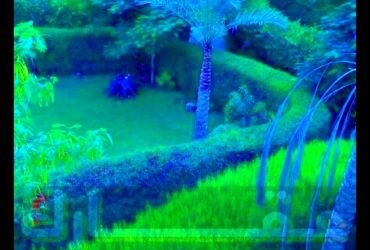 بكمبوند حى الاشجار شقه مساحة 234 م  متر دور ثاني