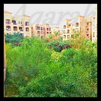 شقه للايجار ٢٠٩ م دور اول  ب حي الاشجار بأكتوبر بها مطبخ راكب