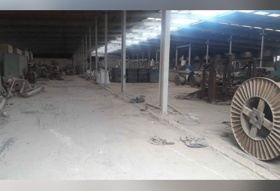 مصنع للبيع نشاط اخشاب فى العبور