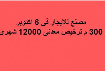 مصنع للايجار نشاط معدنى فى اكتوبر