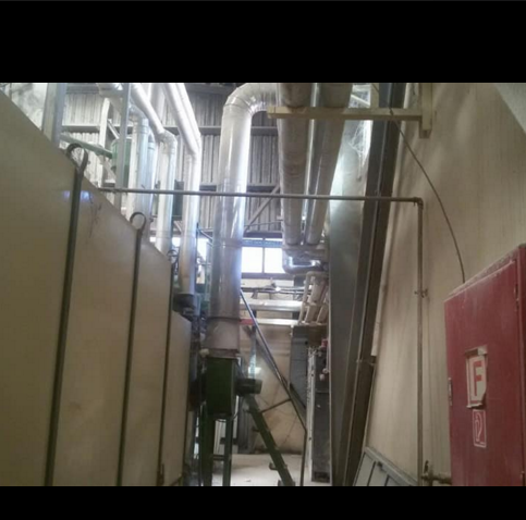 مصنع للبيع نشاط مكرونة فى العبور