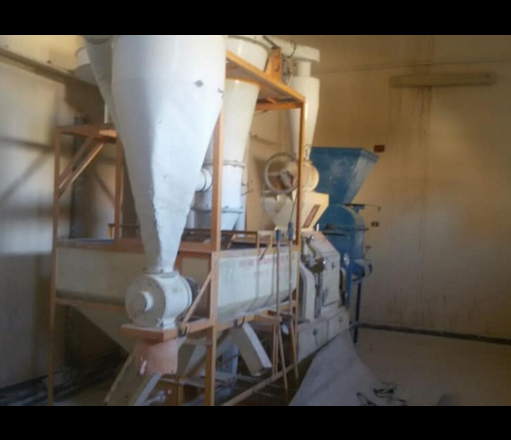 مصنع للبيع نشاط مكرونة فى العبور