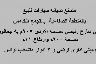 مصنع للبيع بالتجمع التخصص صيانة سيارات
