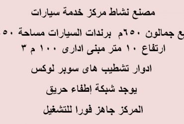 مصنع للبيع بالتجمع التخصص مركز خدمة سيارات