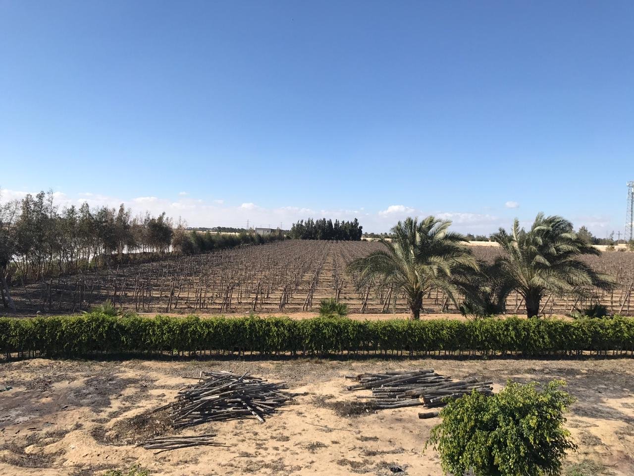 مزرعة  للبيع ٢٢ فدان علي طريق وادي النطرون العلمين الدولي