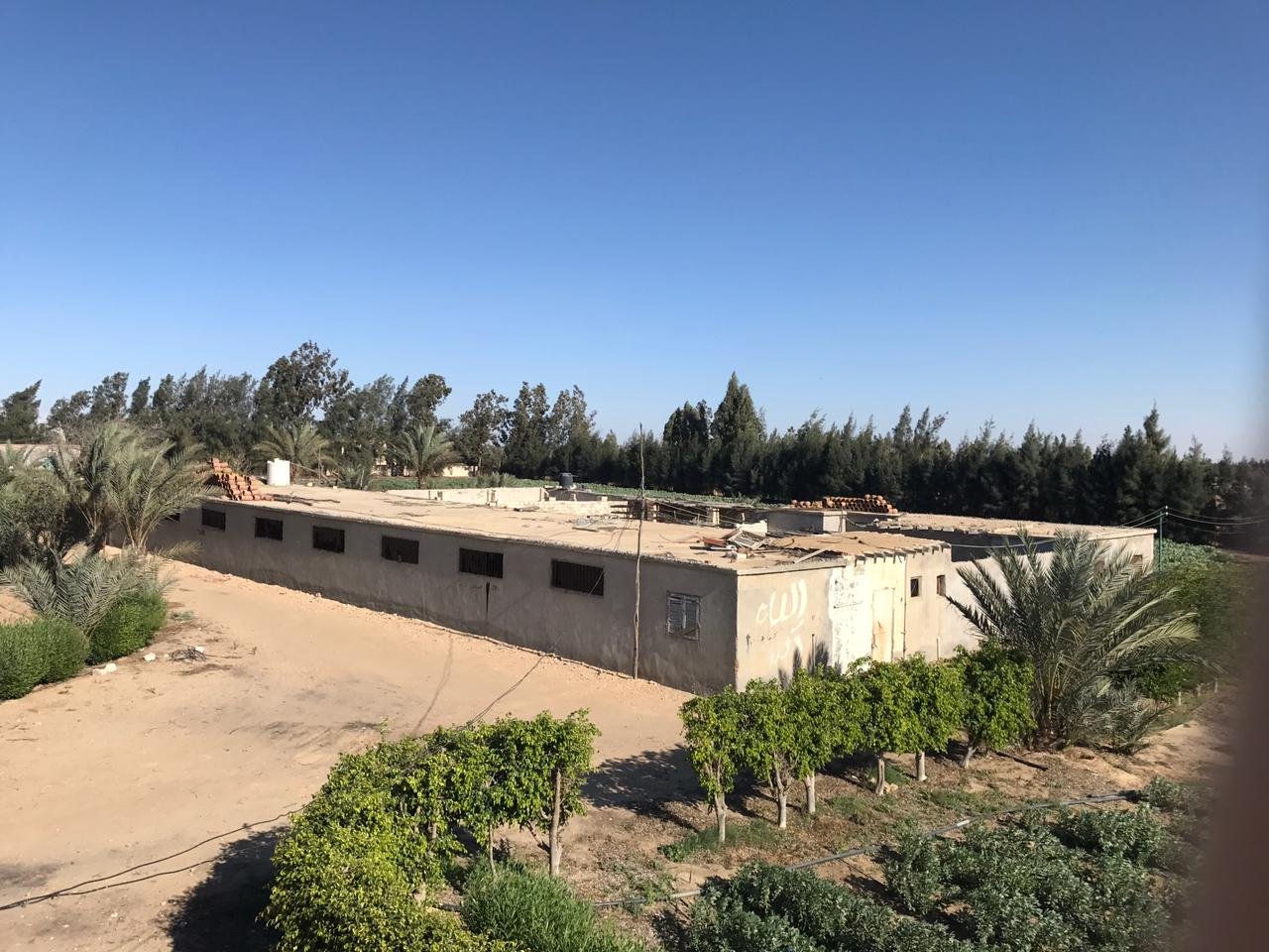 مزرعة  للبيع ٢٢ فدان علي طريق وادي النطرون العلمين الدولي