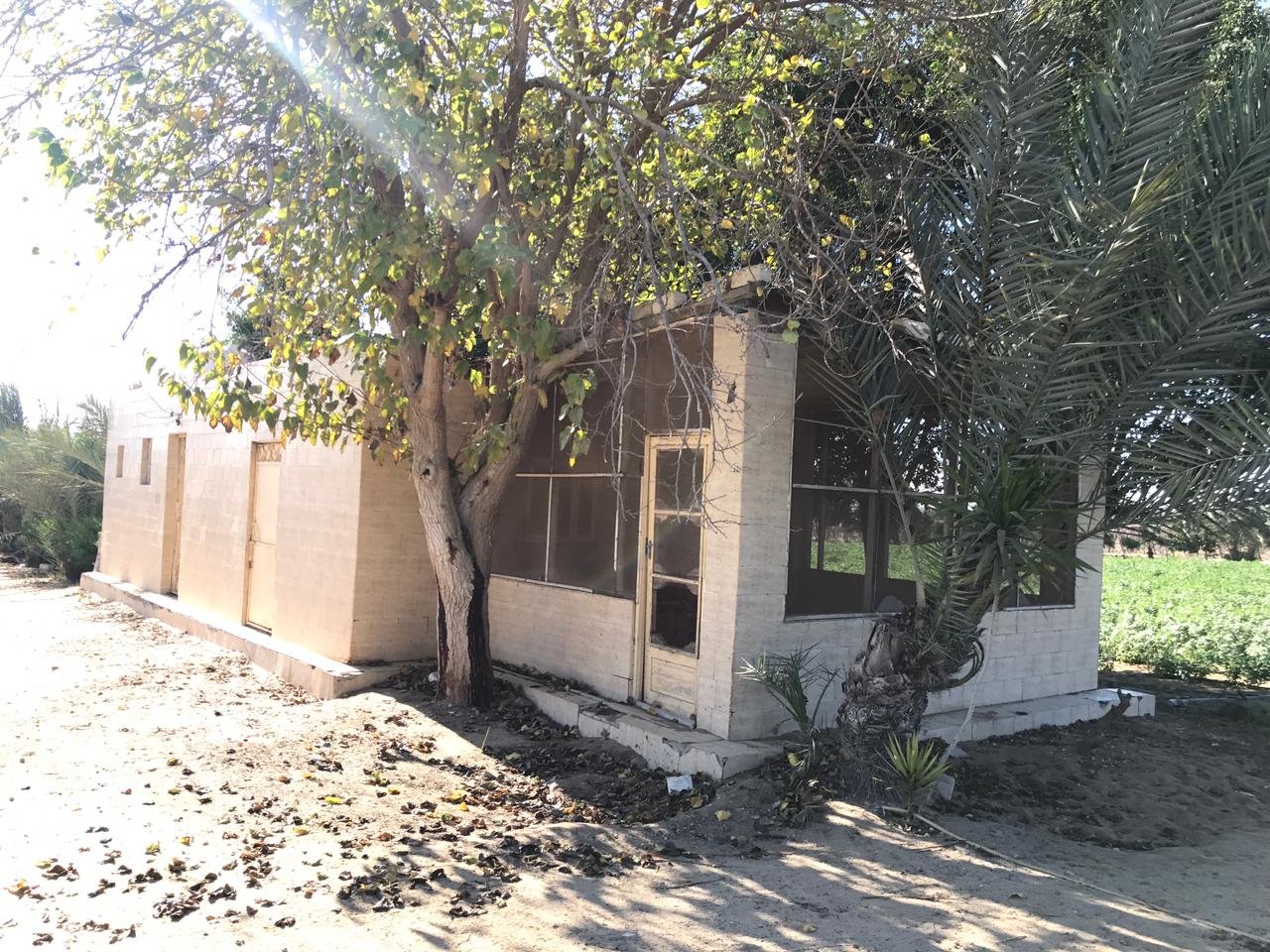 مزرعة  للبيع ٢٢ فدان علي طريق وادي النطرون العلمين الدولي