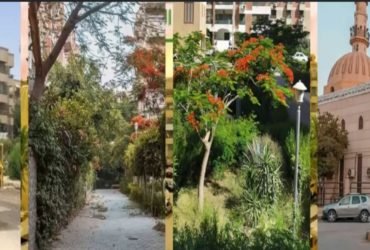 شقه للايجار بكمبوند البشاير ٦ اكتوبر ٢غرفه ٢ حمام ٢بلكونه رسبشن ٣ قطع غاز كهرباء مياه بحريه بالكامل واجهه أماميه