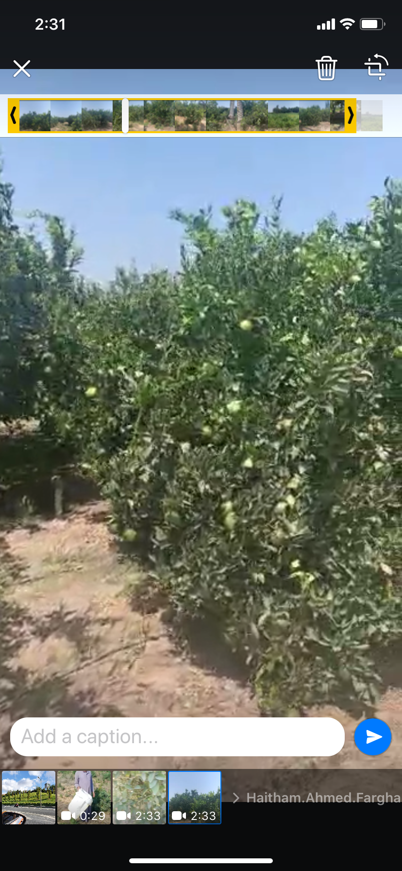 مزرعه منتجه منذ ١٢ عام ١٧ فدان برتقال ابوصره و صيفي و سكري و عنب بناتي بالنوباريه