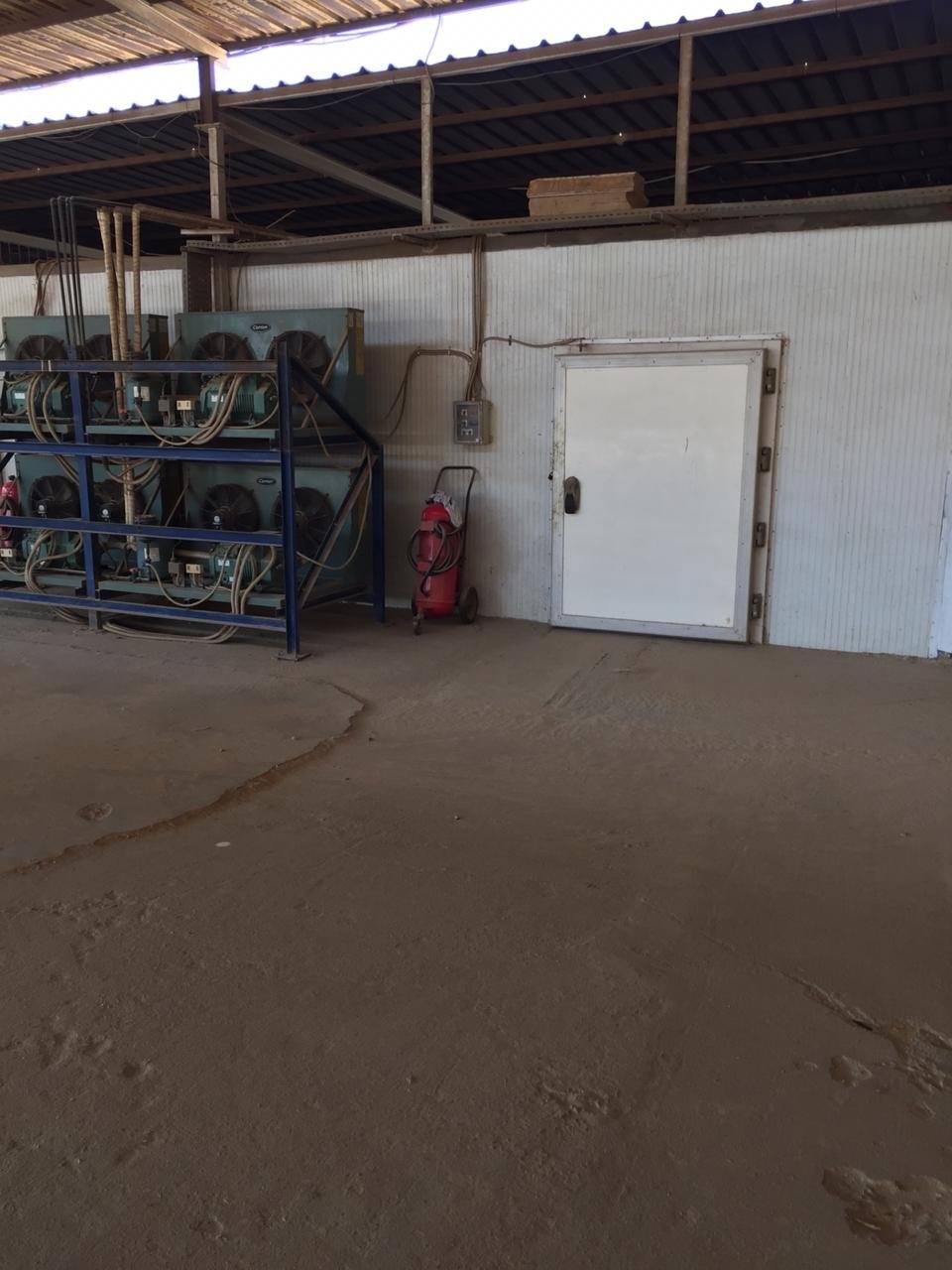 مصنع زيت وسمن نباتي للبيع ببني سويف بياض العرب