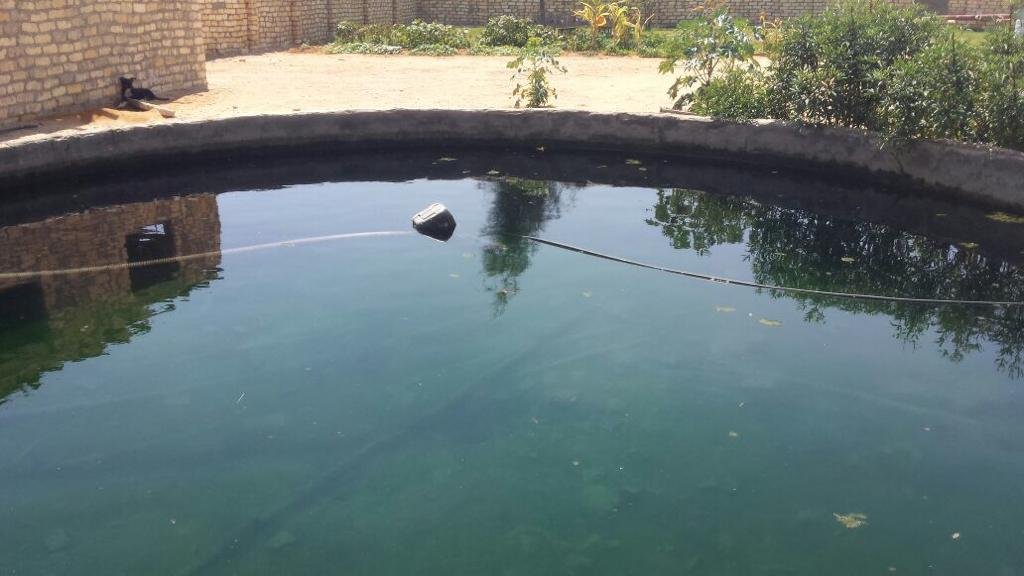 مزرعة للبيع بطريق الاسماعيلية