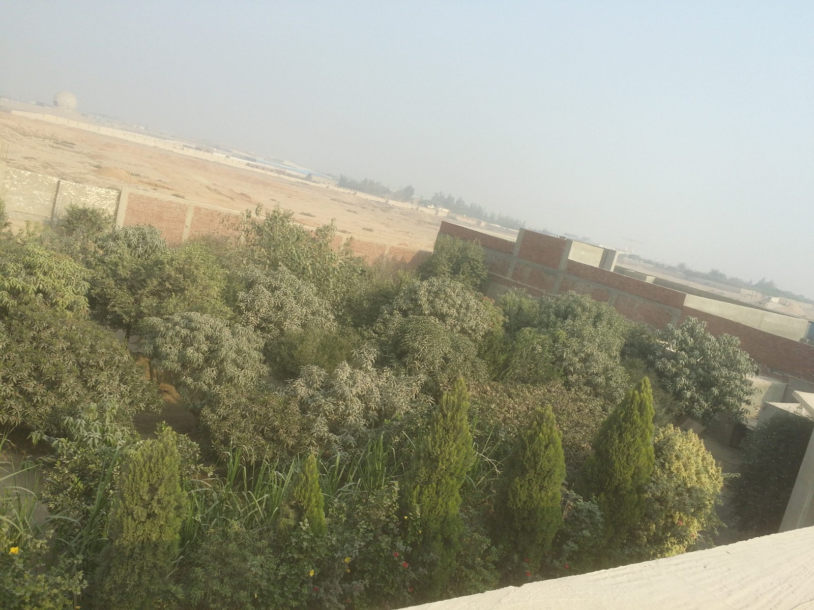 مصنع مميز للبيع بمنطقة انشاص