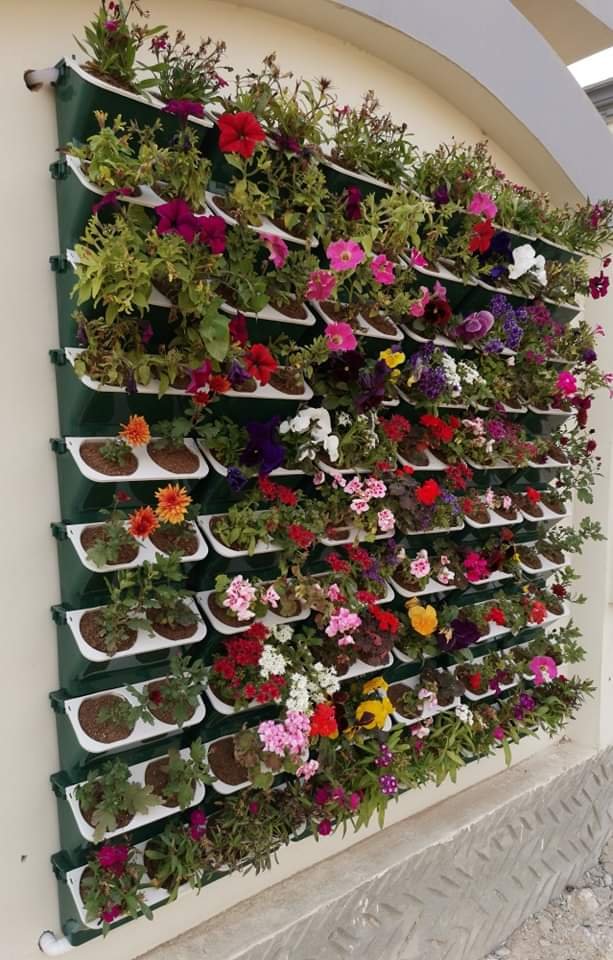 اصيص زراعه اتوماتيك للزراعه المنزليه