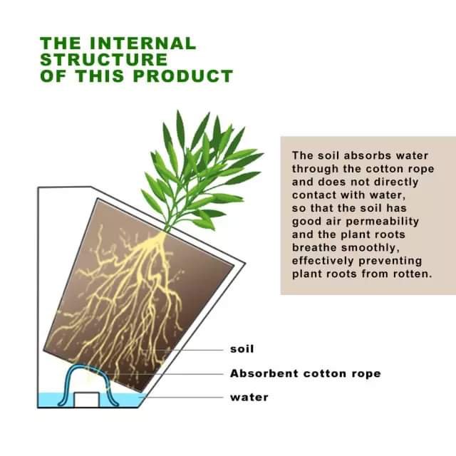 اصيص زراعه اتوماتيك للزراعه المنزليه