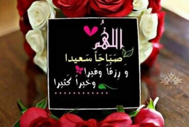 مكب مشاركة للايجار
