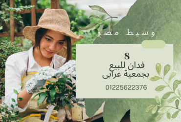 ارض للبيع بجمعية عرابى