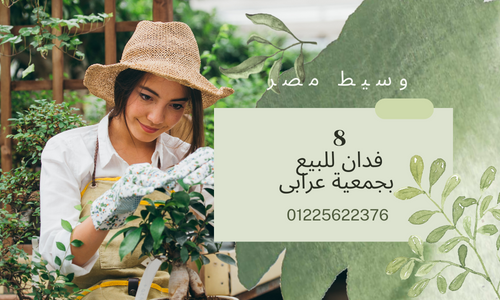 ارض للبيع بجمعية عرابى