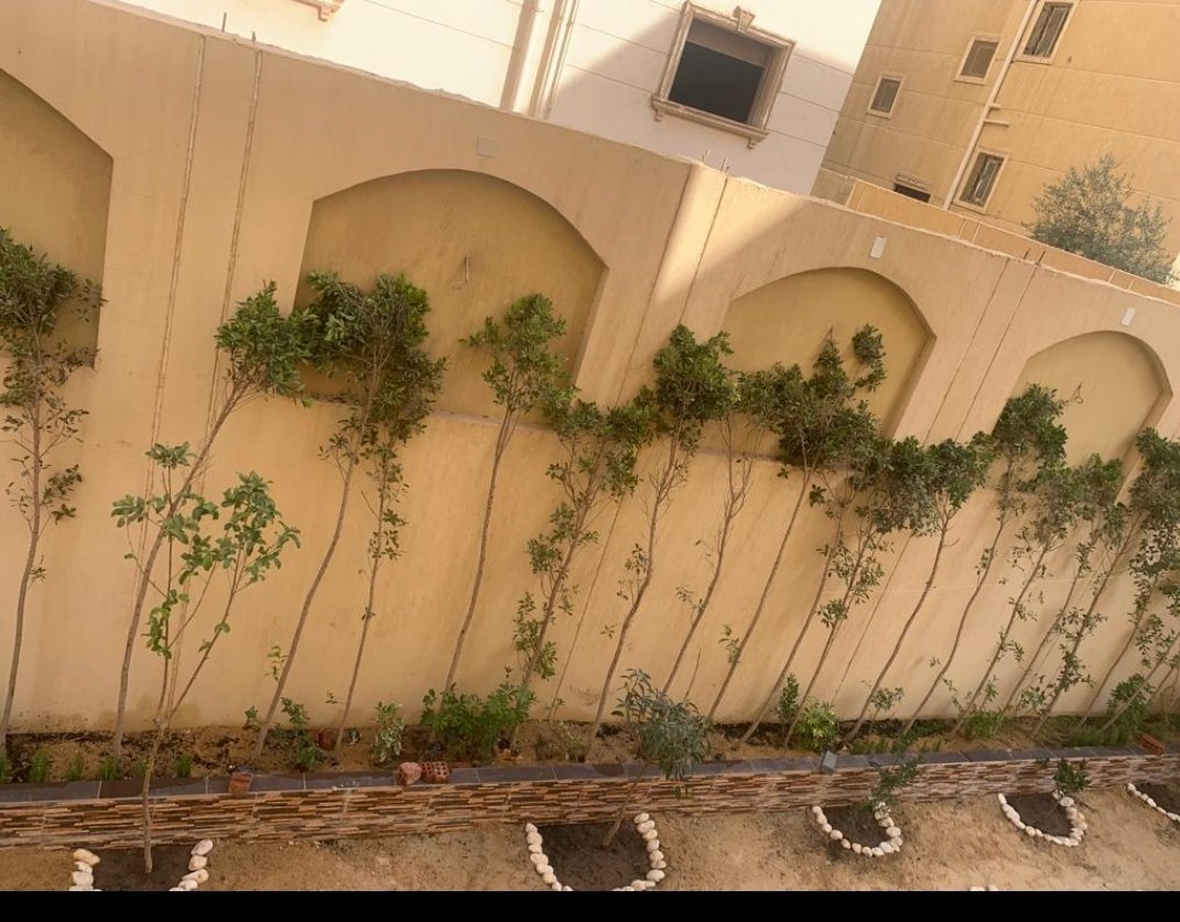 فيلا للبيع  مقابل الجامعة الامريكيه