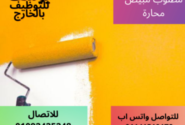 مطلوب  مبيض محارة للعمل