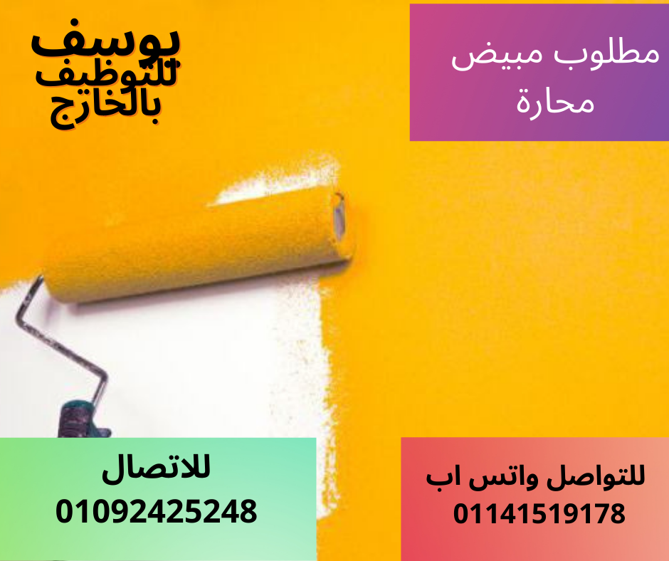 مطلوب  مبيض محارة للعمل