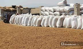 مصنع دقيق للبيع جاهز و شغال للبيع مصنع لإنتاج الدقيق الفاخر ٧٢%  موقع ممتاز جدا