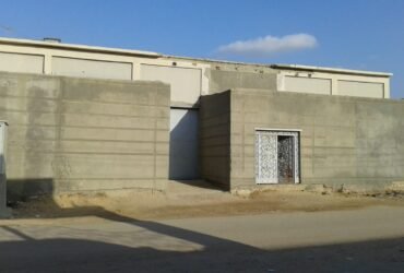 اسكندرية العامرية