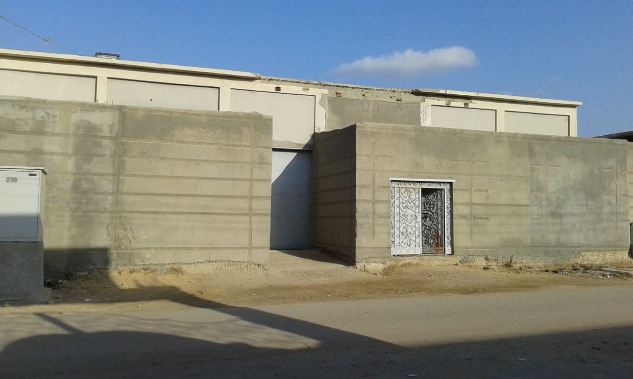 اسكندرية العامرية