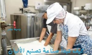 كيف تبدأ صناعة تصنيع الألبان ومنتجاتها