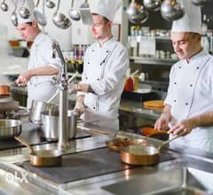 استيوارد بفنادق بشرم الشيخ