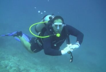 فنادق بشرم الشيخ لايف جارد وهو المنقذ