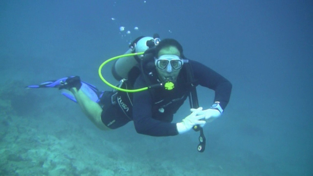 فنادق بشرم الشيخ لايف جارد وهو المنقذ