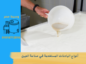 أنواع البادئات المستخدمة في صناعة الجبن
