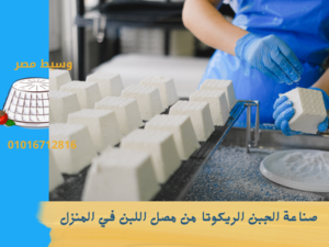 صناعة الجبن الريكوتا في المصنع
