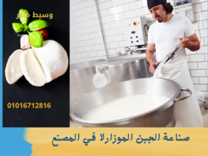 صناعة الجبن الموزارلا في المصنع