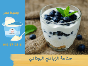 صناعة الزبادي اليوناني
