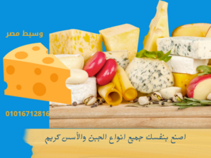 طرق صناعة  الاجبان