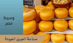 طريقة تصنيع جبنة جودة