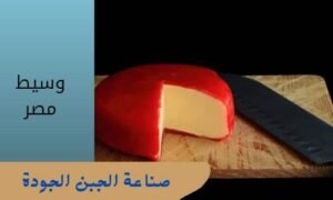طريقة تصنيع جبنة جودة