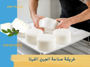 طريقة صناعة الجبن الفيتا